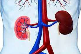Urology